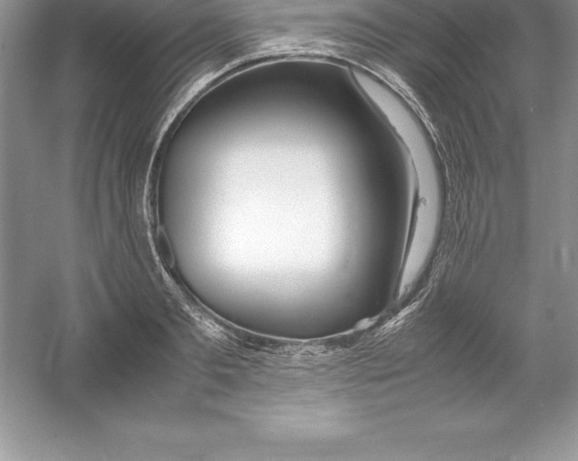 X0000052990893200508051105