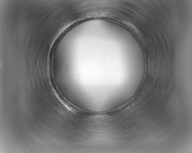 X0000052990894200508051105