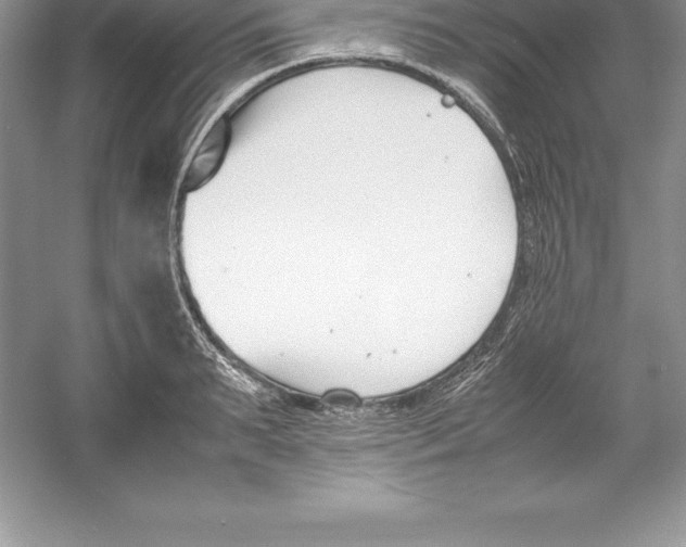 X0000052990895200508051105