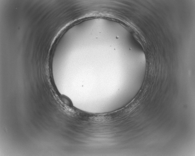 X0000052990896200508051105