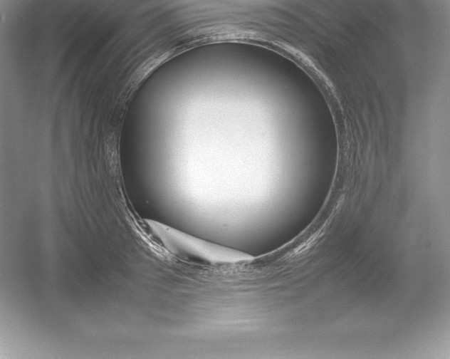 X0000052990897200508051105