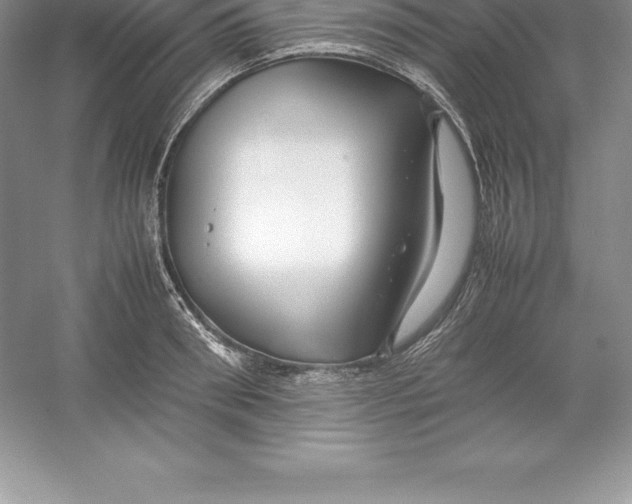 X0000052990898200508051105