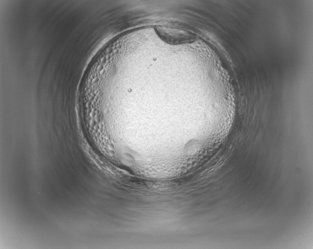 X0000052990899200508051105