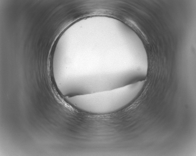 X0000052990900200508051104