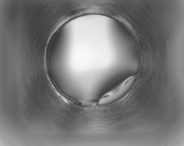 X0000052990902200508051104