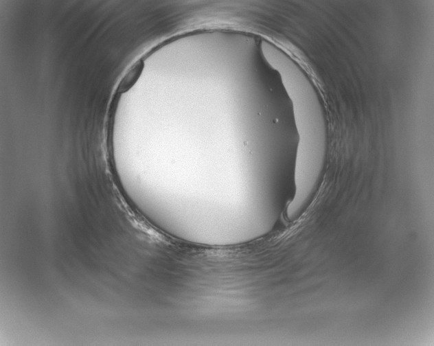 X0000052990904200508051104