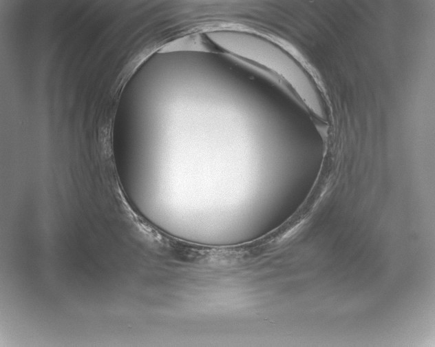 X0000052990905200508051104