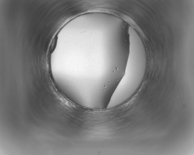 X0000052990908200508051104