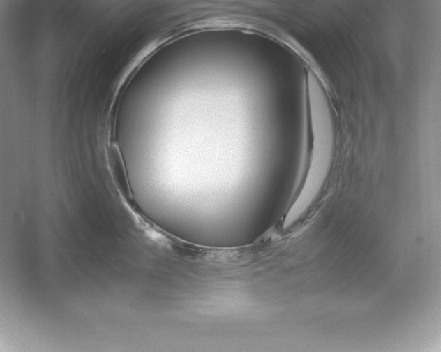 X0000052990909200508051104