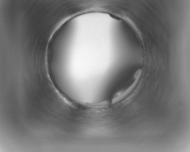 X0000052990910200508051104