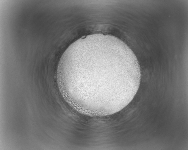 X0000052990913200508051103