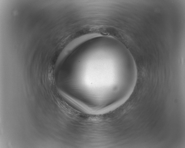 X0000052990914200508051103