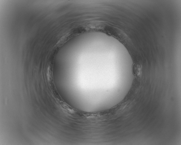 X0000052990915200508051103