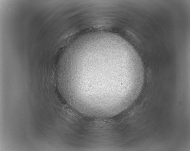 X0000052990917200508051104