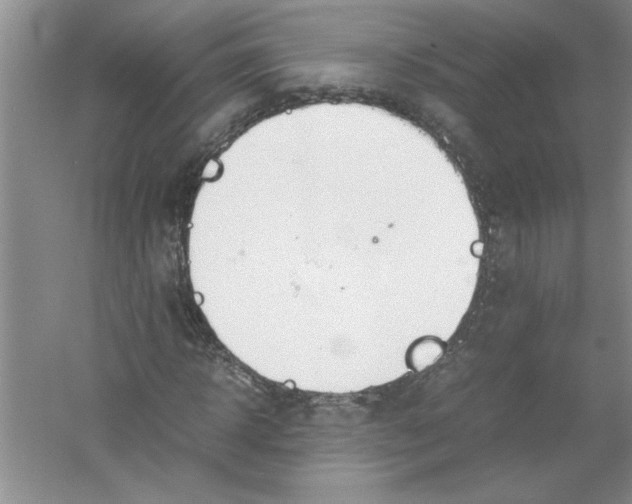 X0000052990918200508051104