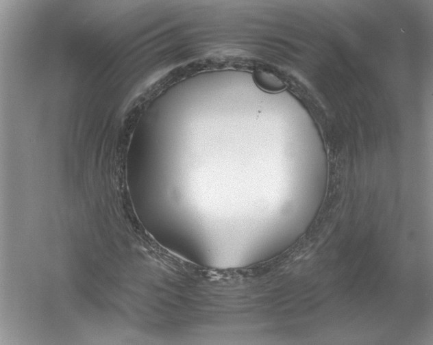 X0000052990919200508051104