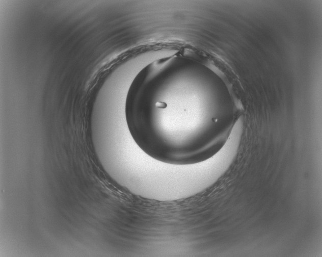 X0000052990920200508051104