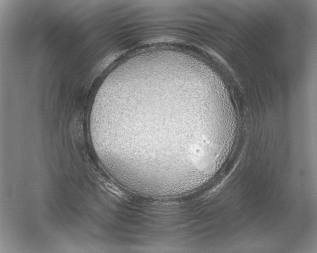 X0000052990921200508051104