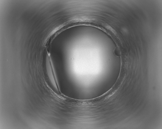 X0000052990922200508051104