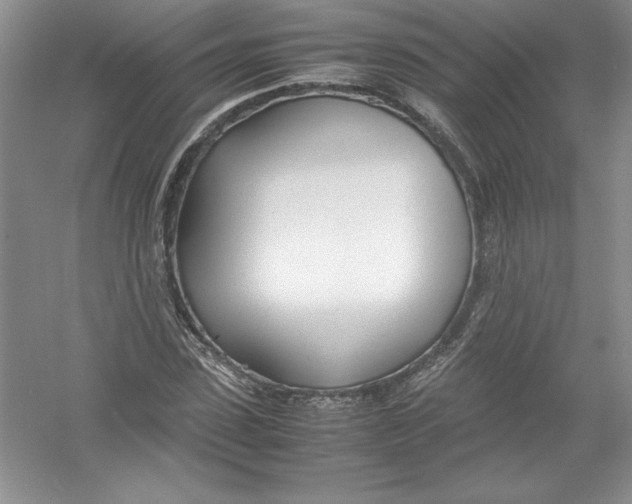 X0000052990923200508051104