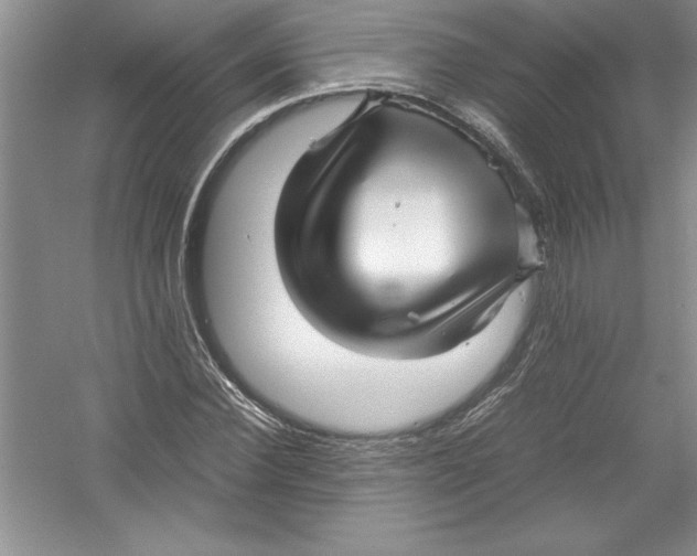 X0000052990924200508051104