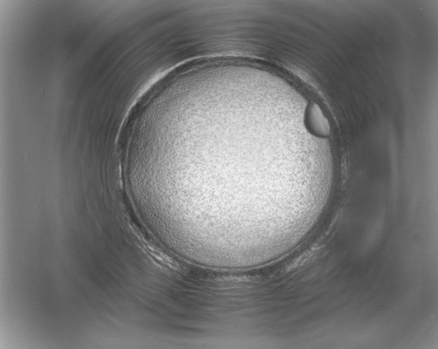 X0000052990925200508051104