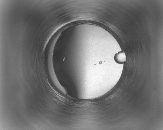 X0000052990926200508051104