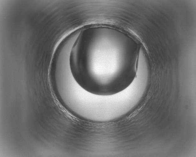 X0000052990928200508051104