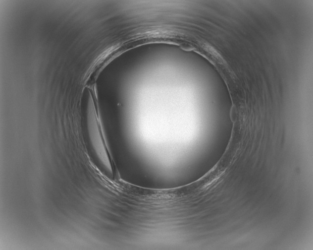 X0000052990930200508051104