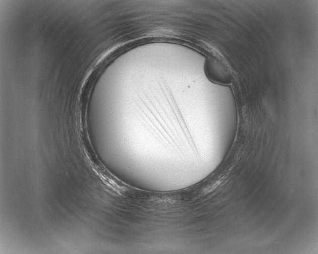 X0000052990931200508051104