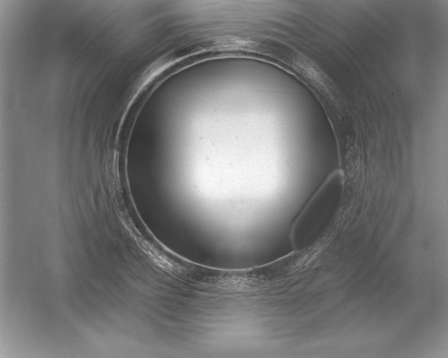 X0000052990932200508051104