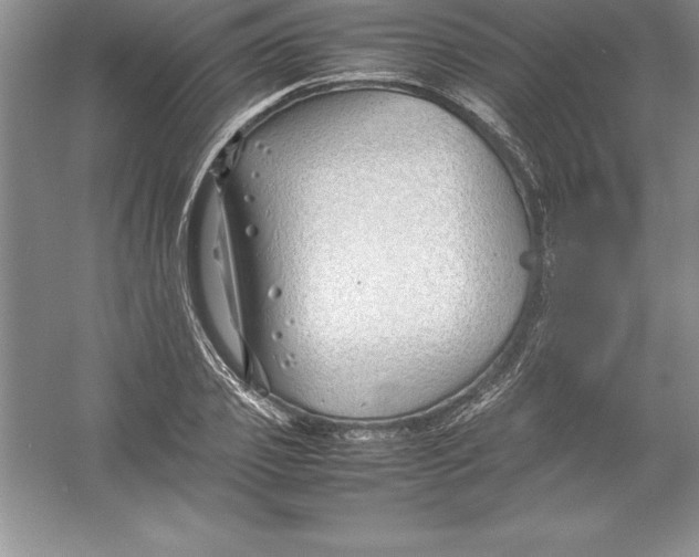 X0000052990933200508051104