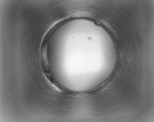 X0000052990934200508051104