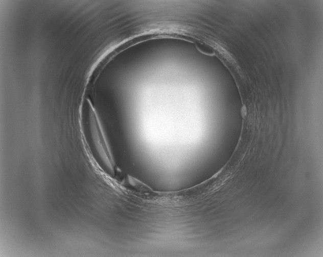 X0000052990936200508051104