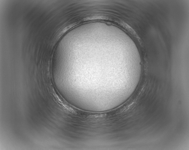 X0000052990937200508051104