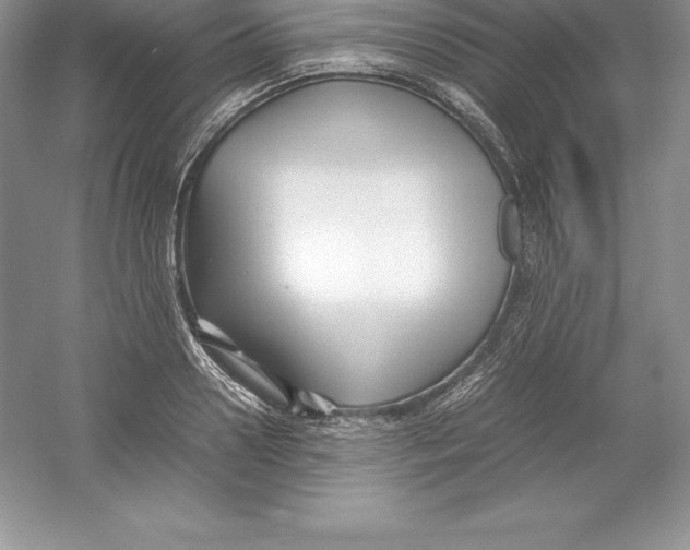 X0000052990938200508051104