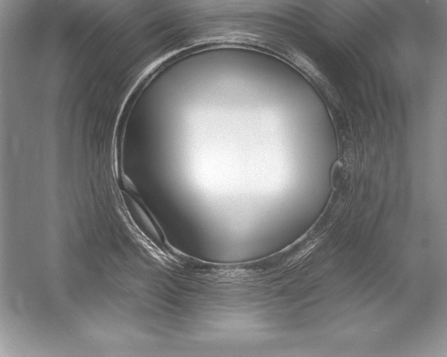 X0000052990940200508051104