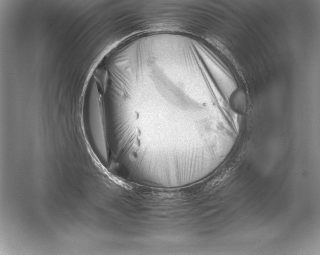 X0000052990941200508051104