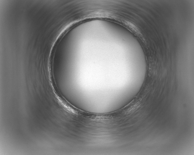 X0000052990942200508051104