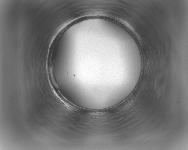 X0000052990943200508051104