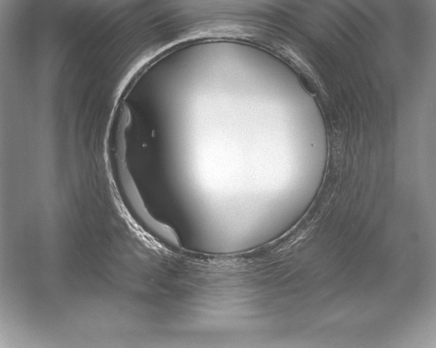 X0000052990944200508051104