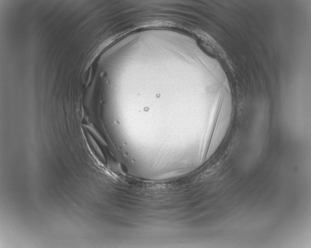 X0000052990945200508051104