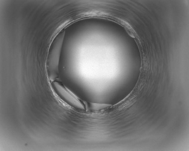 X0000052990946200508051104