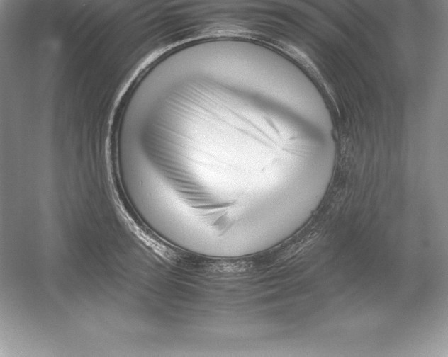 X0000052990947200508051104