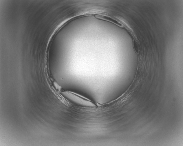 X0000052990948200508051104