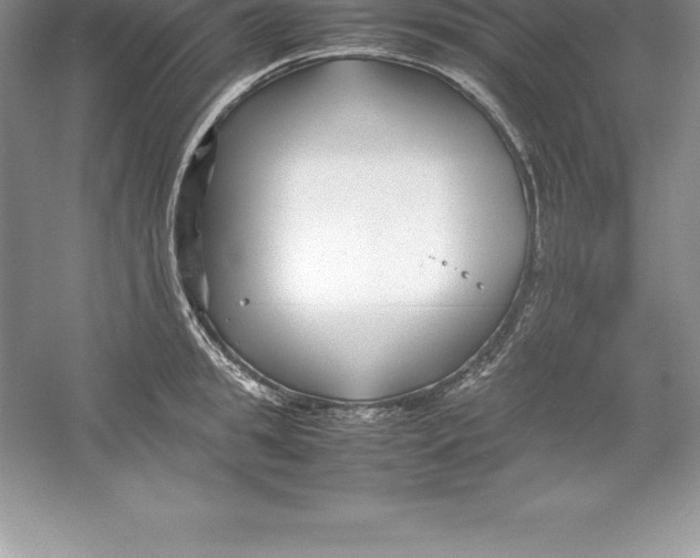 X0000052990949200508051104