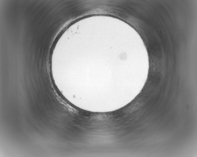 X0000052990950200508051104