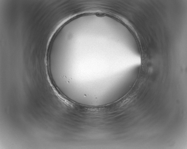 X0000052990951200508051104