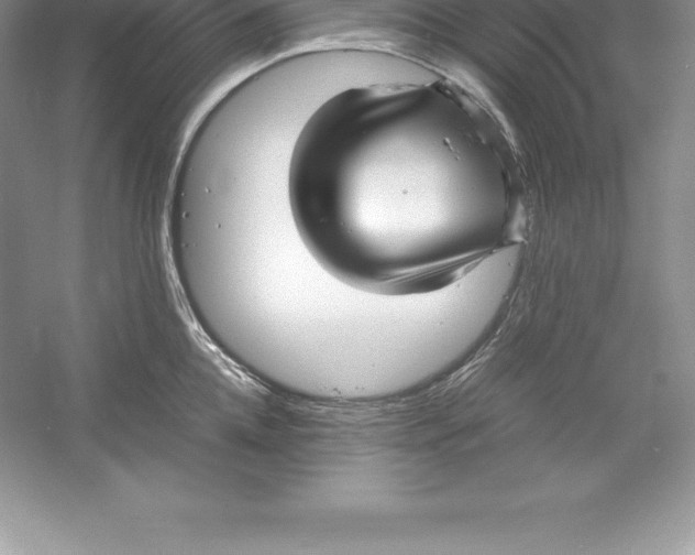 X0000052990952200508051104