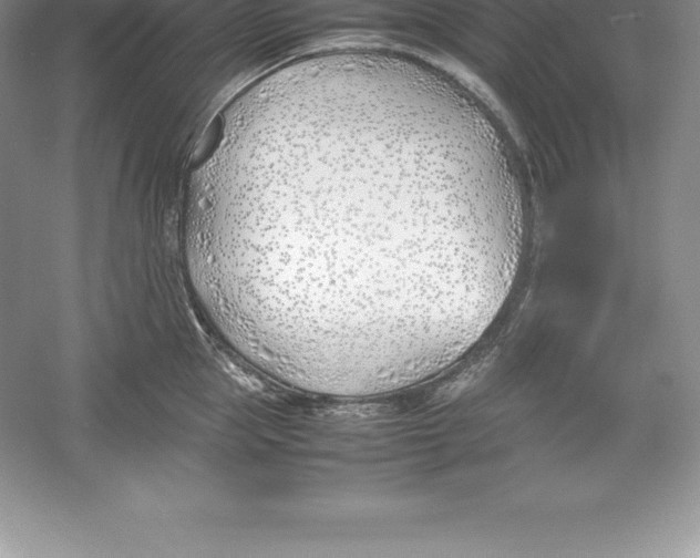 X0000052990953200508051104